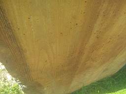 spaincottageextension 4910.jpg